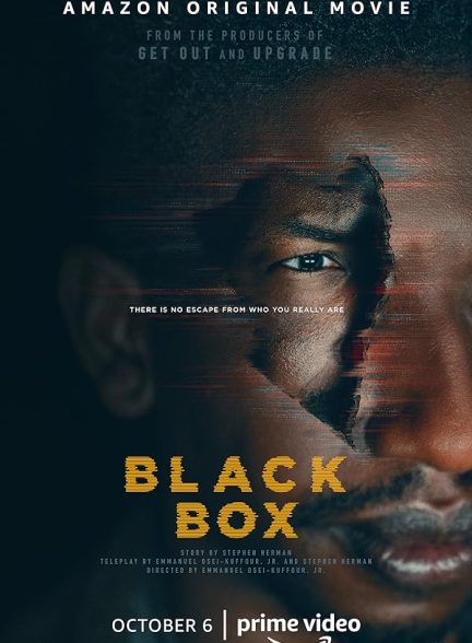 فیلم جعبه سیاه