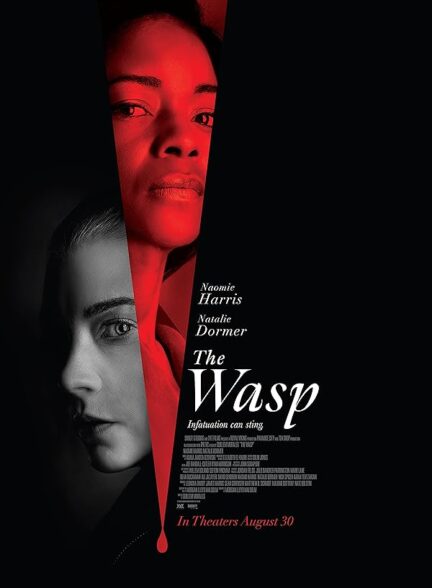 فیلم زنبور The Wasp